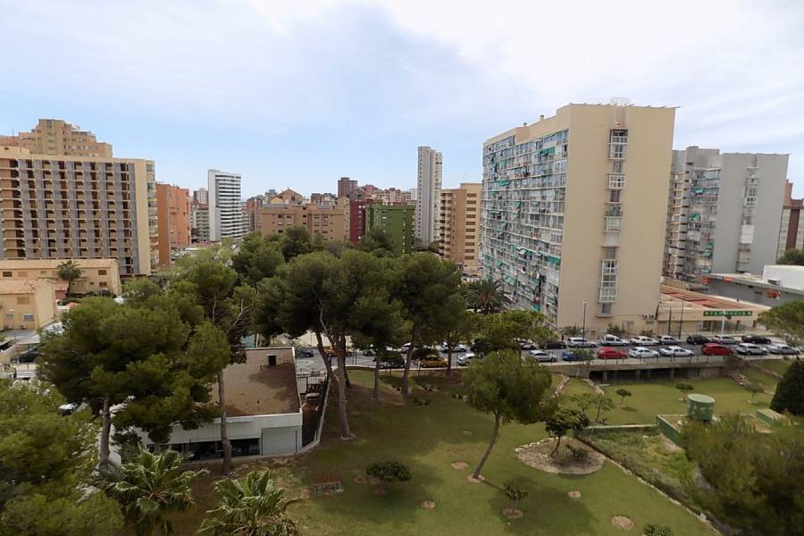 Benidorm,Alicante,España,1 Dormitorio Bedrooms,1 BañoBathrooms,Apartamentos,34554