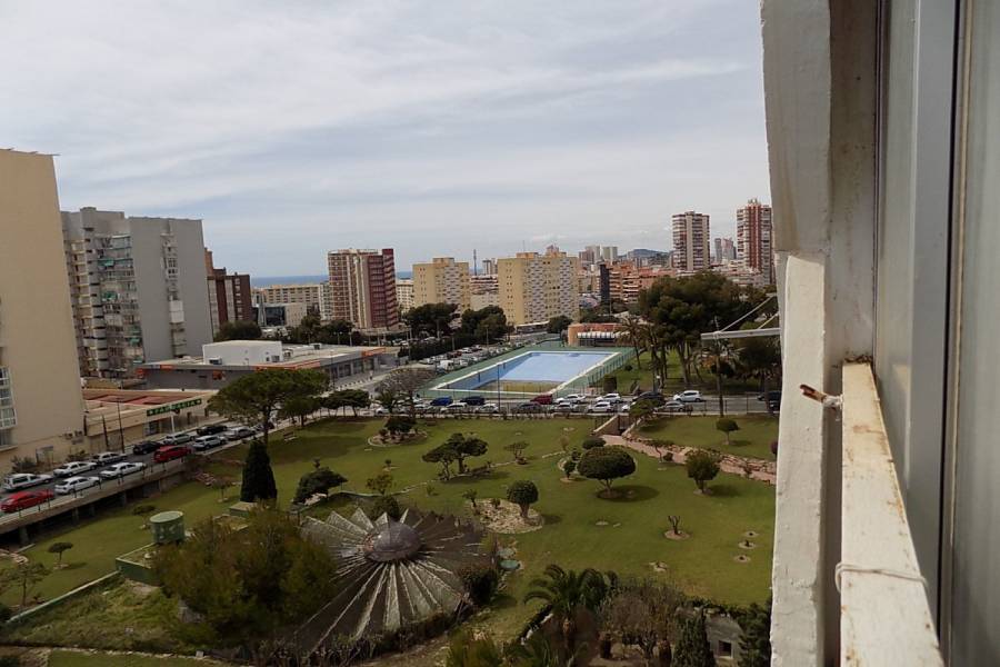 Benidorm,Alicante,España,1 Dormitorio Bedrooms,1 BañoBathrooms,Apartamentos,34554