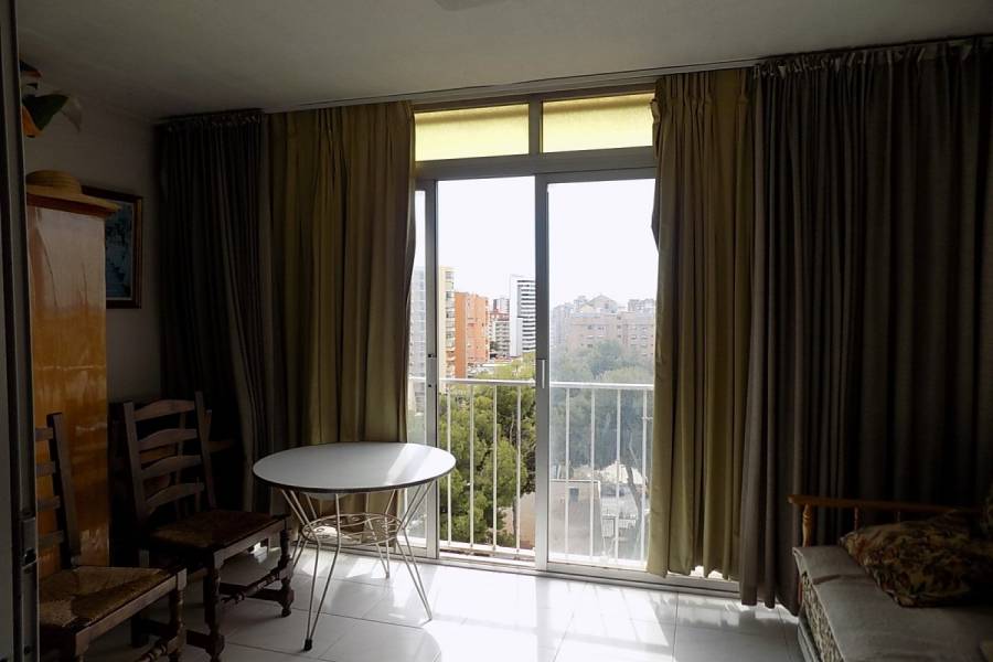 Benidorm,Alicante,España,1 Dormitorio Bedrooms,1 BañoBathrooms,Apartamentos,34554