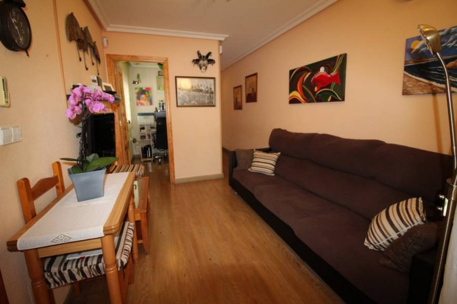 Torrevieja,Alicante,España,3 Bedrooms Bedrooms,1 BañoBathrooms,Atico,34566