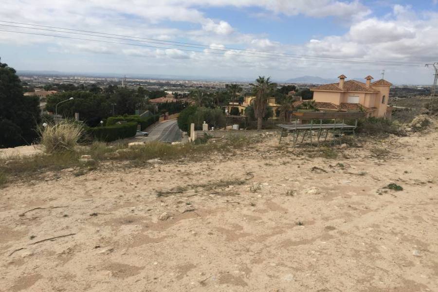 Elche,Alicante,España,Parcela,34590