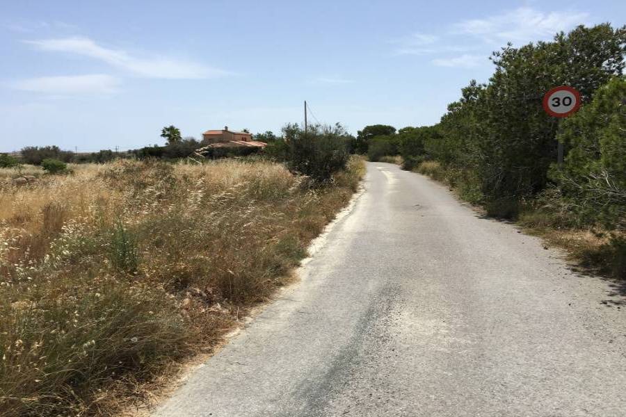 Elche,Alicante,España,Parcela,34610