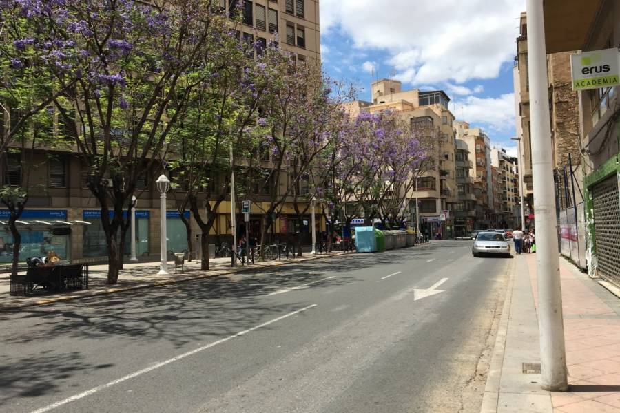 Elche,Alicante,España,Lotes-Terrenos,34634