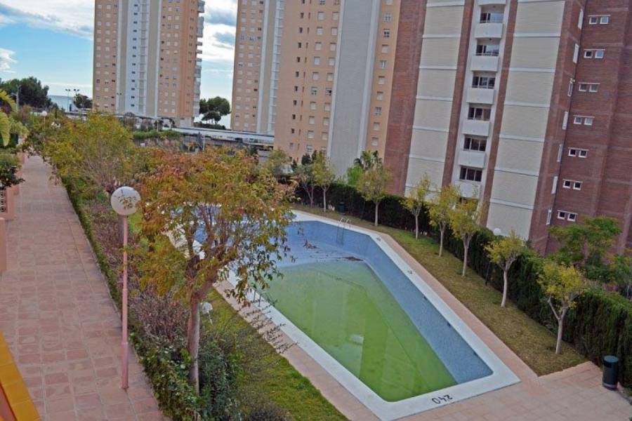 Benidorm,Alicante,España,2 Bedrooms Bedrooms,1 BañoBathrooms,Apartamentos,34727