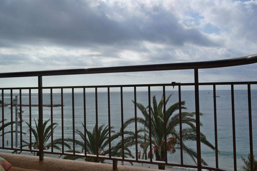 Torrevieja,Alicante,España,3 Bedrooms Bedrooms,2 BathroomsBathrooms,Apartamentos,34738