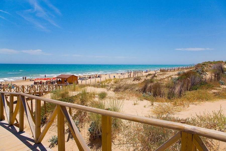 Guardamar del Segura,Alicante,España,2 Bedrooms Bedrooms,2 BathroomsBathrooms,Atico duplex,34747