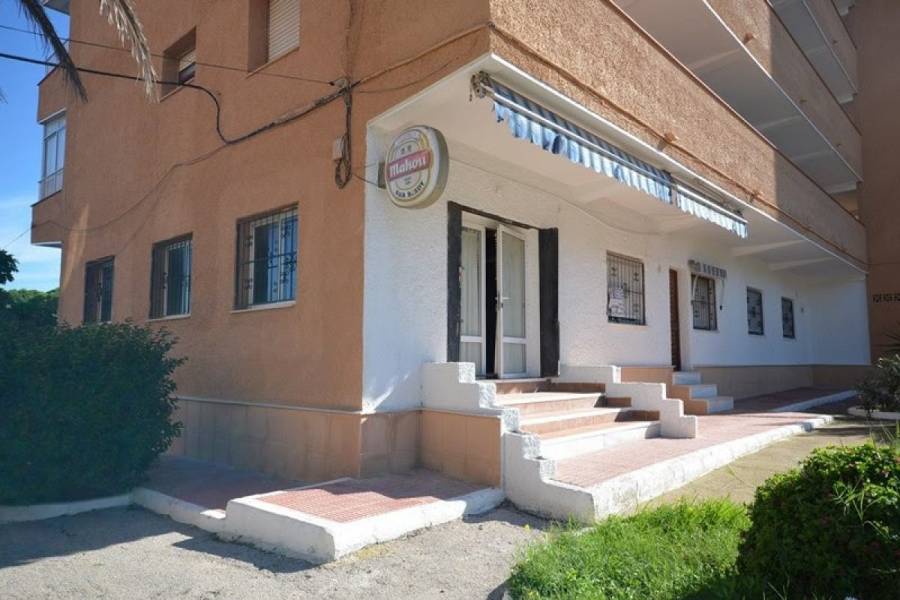 Guardamar del Segura,Alicante,España,4 Bedrooms Bedrooms,1 BañoBathrooms,Apartamentos,34790