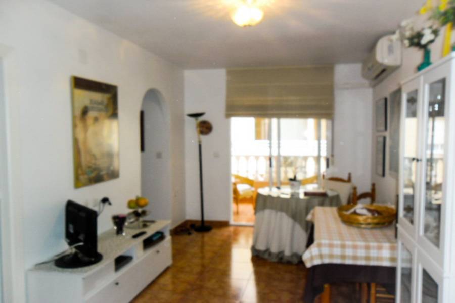 Torrevieja,Alicante,España,3 Bedrooms Bedrooms,2 BathroomsBathrooms,Apartamentos,34791