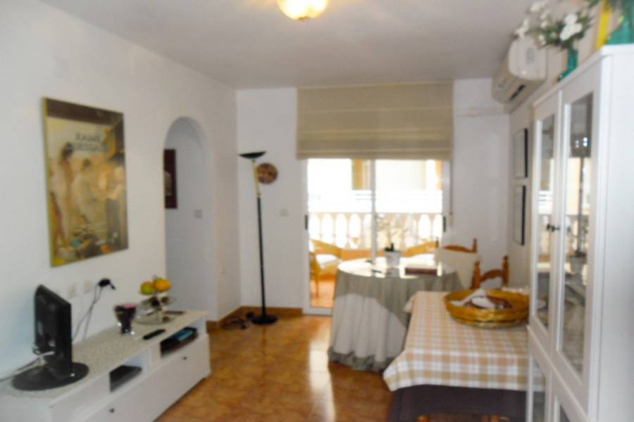 Torrevieja,Alicante,España,3 Bedrooms Bedrooms,2 BathroomsBathrooms,Apartamentos,34791