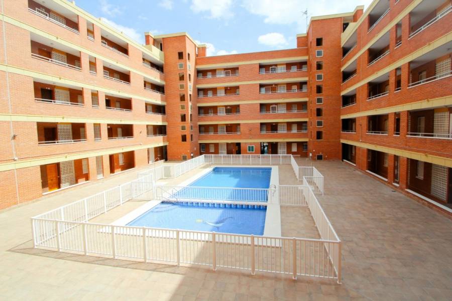 Torrevieja,Alicante,España,2 Bedrooms Bedrooms,1 BañoBathrooms,Apartamentos,34794