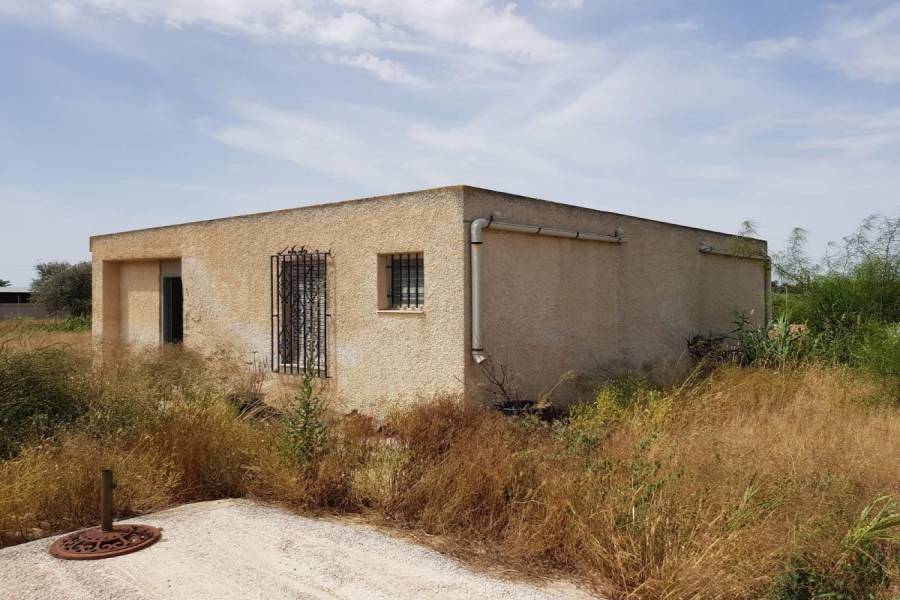 Elche,Alicante,España,Casas,34809