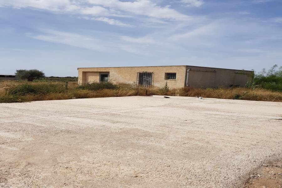 Elche,Alicante,España,Casas,34809