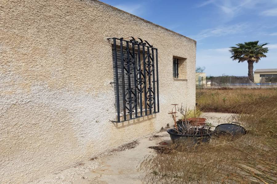 Elche,Alicante,España,Casas,34809
