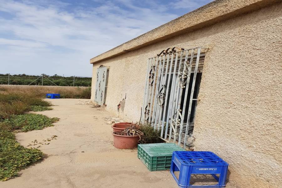Elche,Alicante,España,Casas,34809