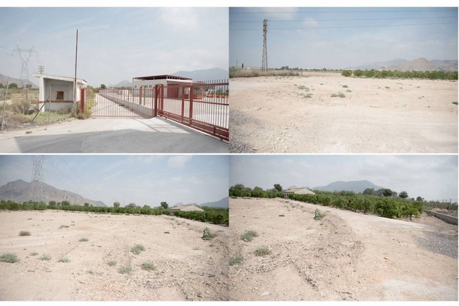 Orihuela,Alicante,España,Parcela,34819