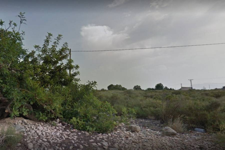 Crevillent,Alicante,España,Lotes-Terrenos,34826
