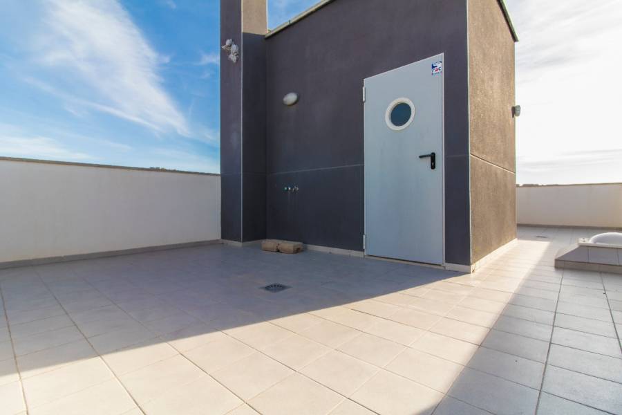 Elche,Alicante,España,3 Bedrooms Bedrooms,2 BathroomsBathrooms,Bungalow,34852