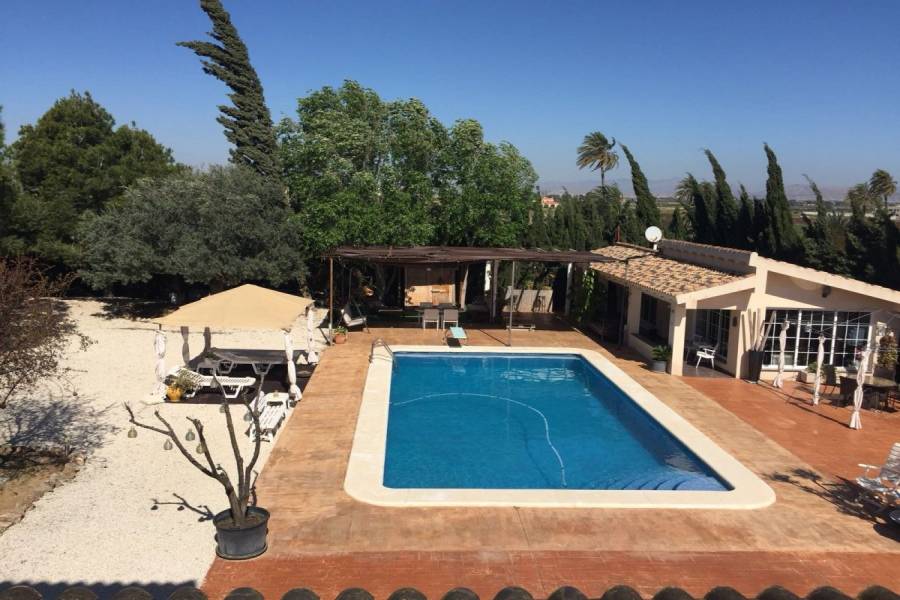 Elche,Alicante,España,5 Bedrooms Bedrooms,3 BathroomsBathrooms,Chalets,34854