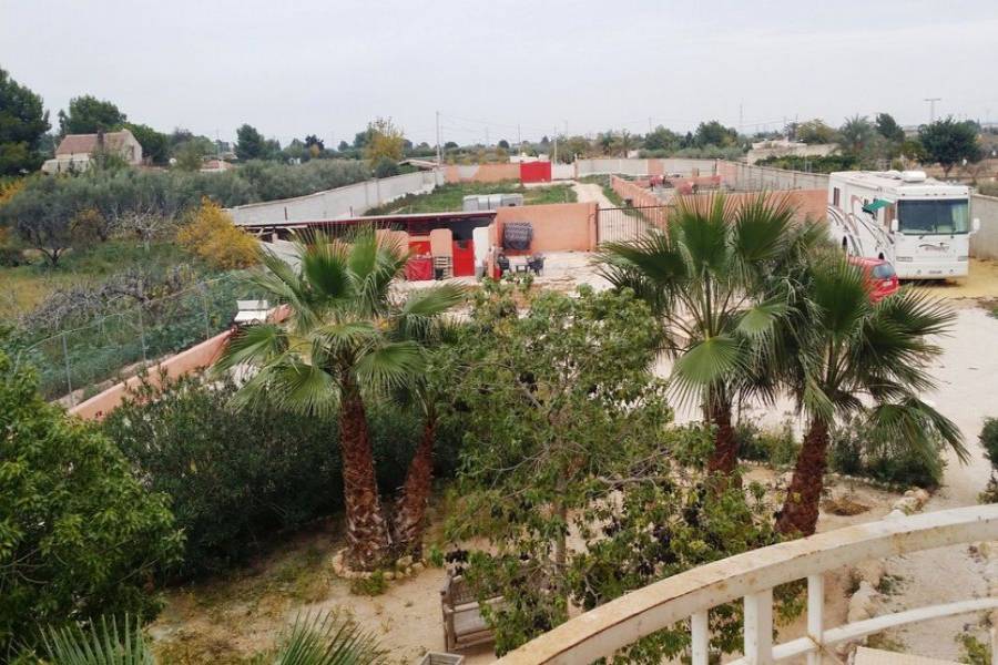 Crevillent,Alicante,España,7 Bedrooms Bedrooms,6 BathroomsBathrooms,Lotes-Terrenos,34935