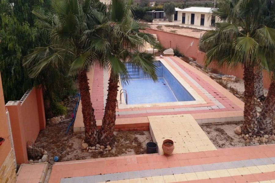 Crevillent,Alicante,España,7 Bedrooms Bedrooms,6 BathroomsBathrooms,Lotes-Terrenos,34935