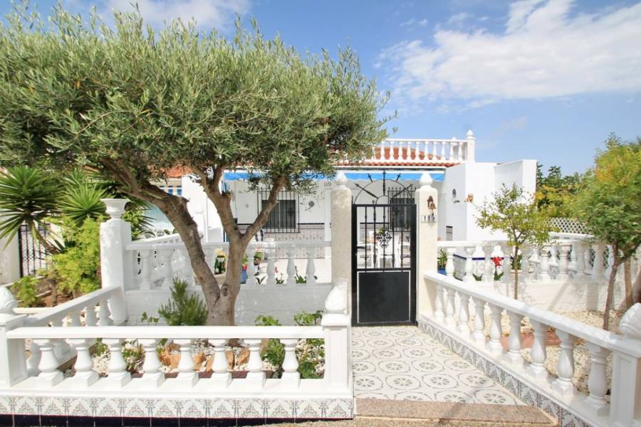 Torrevieja,Alicante,España,2 Bedrooms Bedrooms,1 BañoBathrooms,Bungalow,34965
