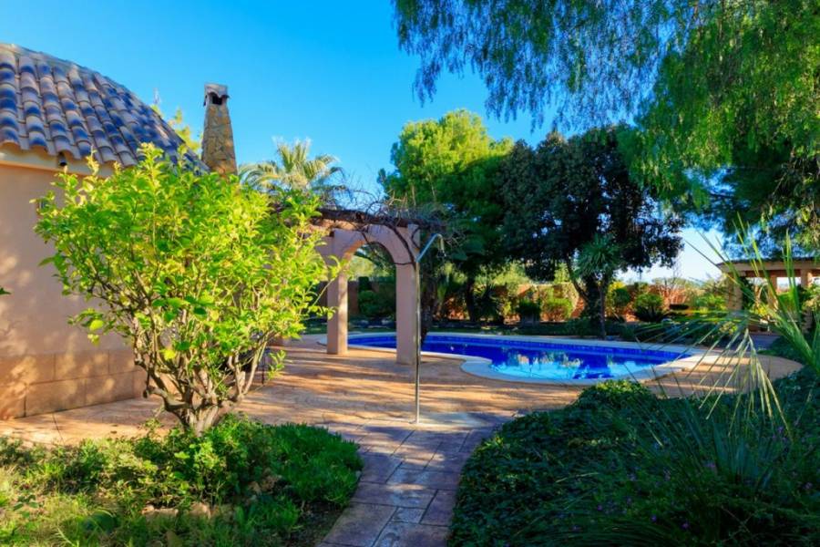 Orihuela Costa,Alicante,España,4 Bedrooms Bedrooms,3 BathroomsBathrooms,Casas,34975