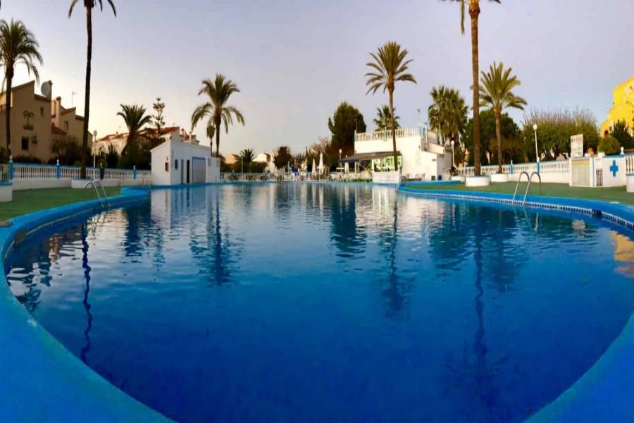 Torrevieja,Alicante,España,4 Bedrooms Bedrooms,2 BathroomsBathrooms,Adosada,35010