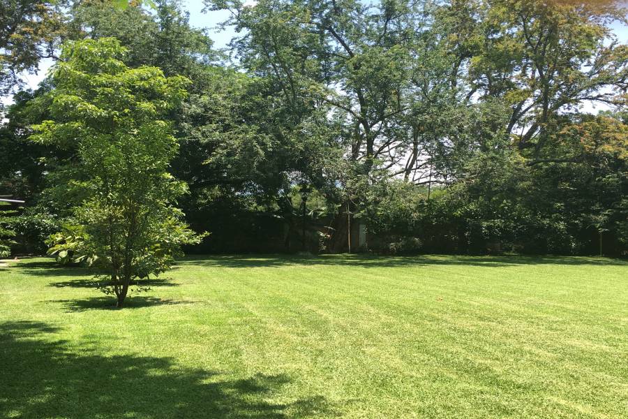 Yautepec,Morelos,Mexico,4 Bedrooms Bedrooms,4 BathroomsBathrooms,Casas,Real Oacalco,callejón,2,4081