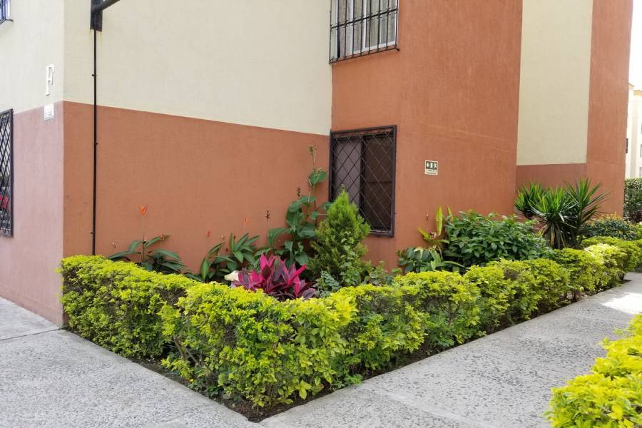Cali,Valle del Cauca,Colombia,3 Bedrooms Bedrooms,1 BañoBathrooms,Apartamentos,1,4138