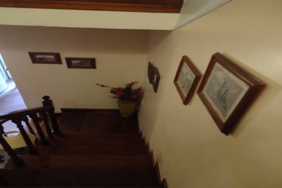 Parque Avellaneda,Capital Federal,3 BañosBaños,Casas,DOLORES,1010