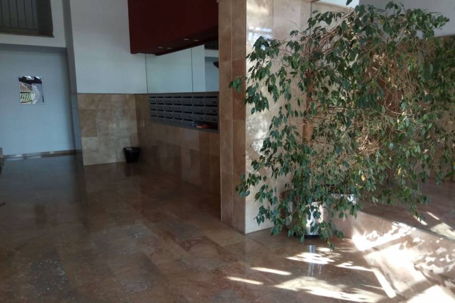 Paterna,Valencia,España,2 BathroomsBathrooms,Apartamentos,4206