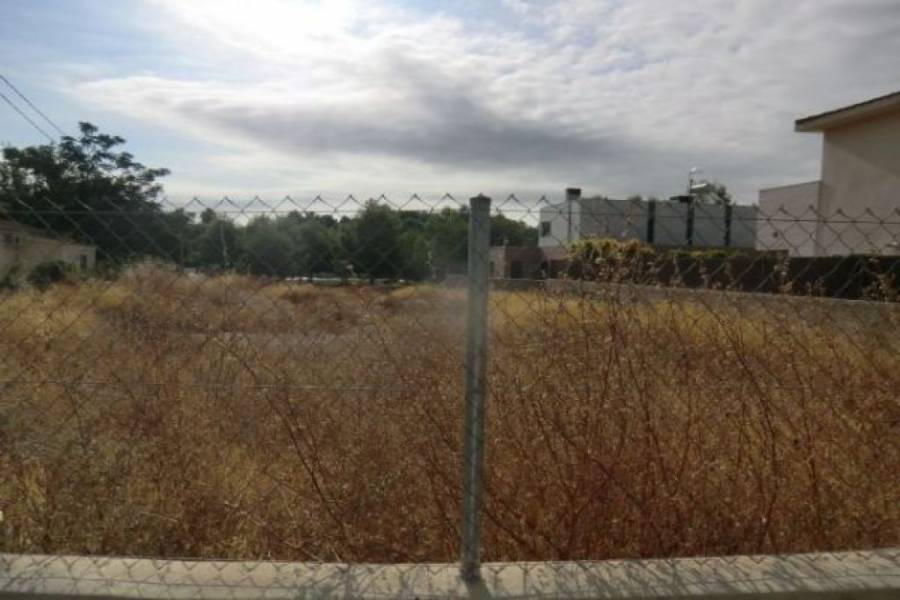 Paterna,Valencia,España,Lotes-Terrenos,4210