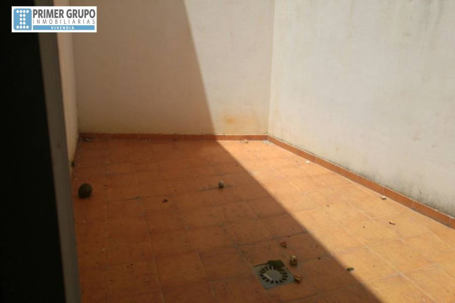 Real de Gandia,Valencia,España,Locales,4235