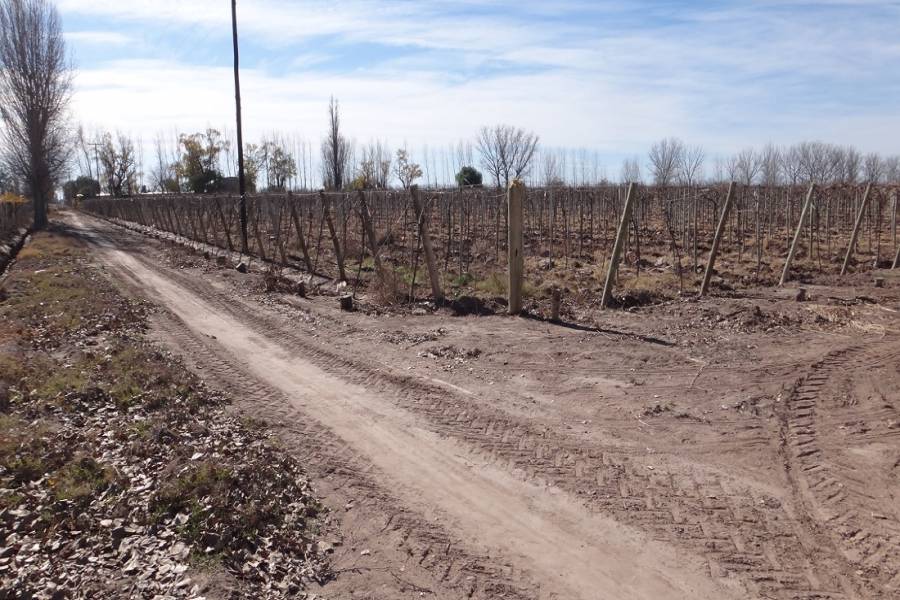 Mendoza,Campos,Manzanares esquina Larrazabal,2,1345