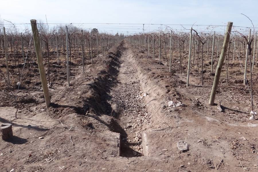 Mendoza,Campos,Manzanares esquina Larrazabal,2,1345