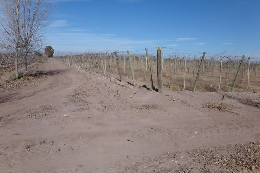Mendoza,Campos,Manzanares esquina Larrazabal,2,1345