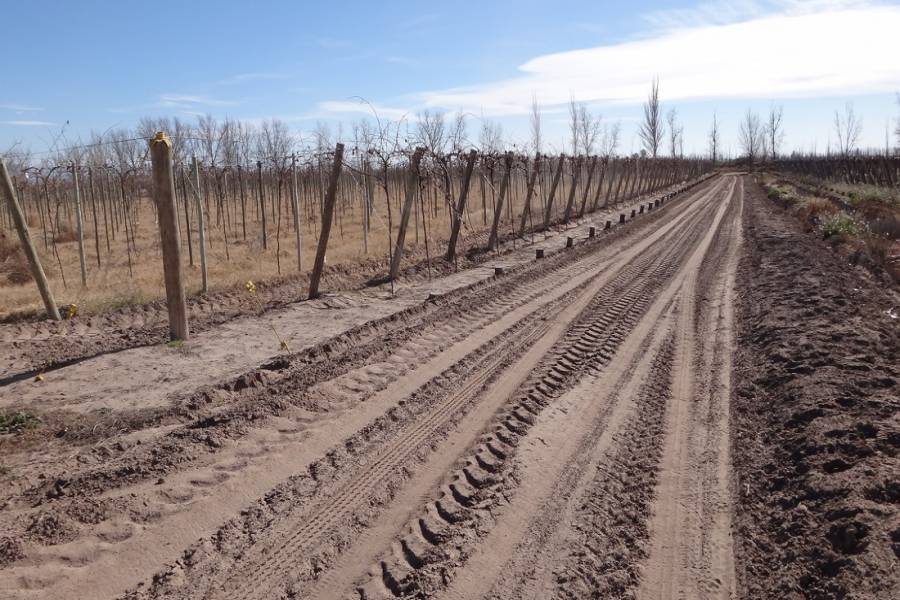 Mendoza,Campos,Manzanares esquina Larrazabal,2,1345