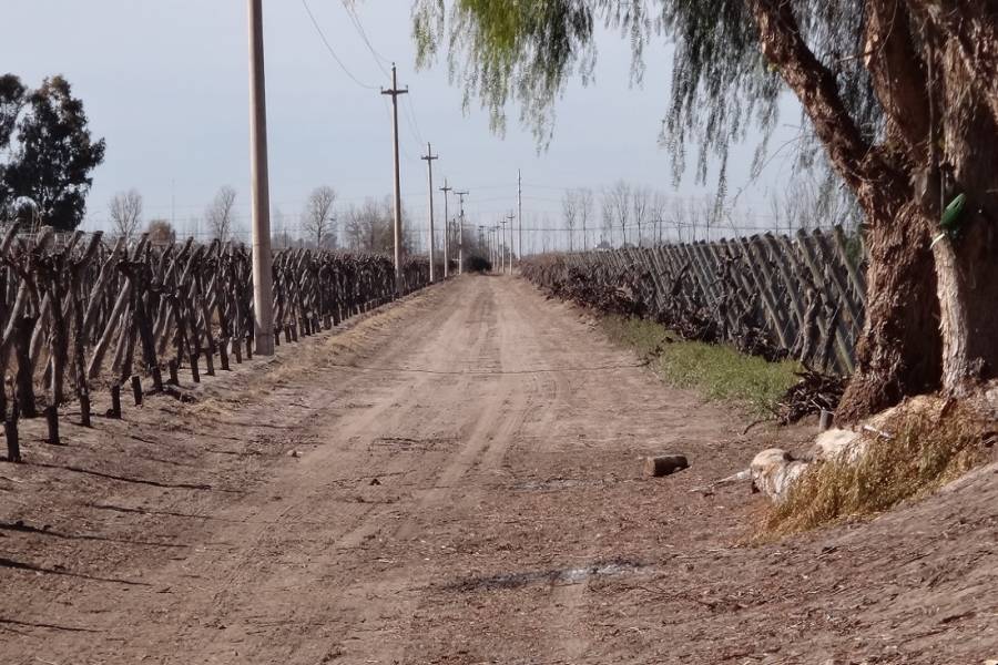 Mendoza,Campos,Manzanares esquina Larrazabal,2,1345