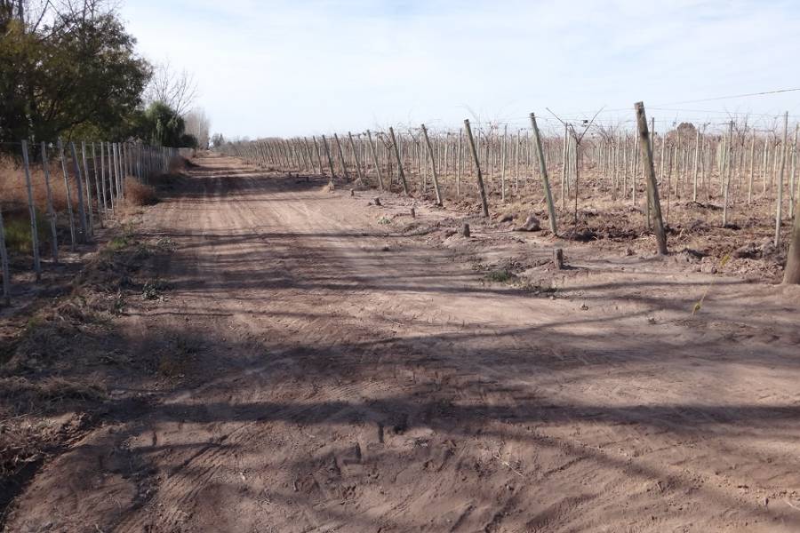 Mendoza,Campos,Manzanares esquina Larrazabal,2,1345