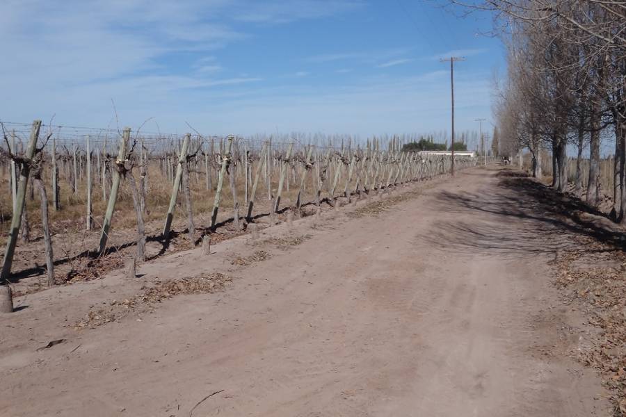 Mendoza,Campos,Manzanares esquina Larrazabal,2,1345