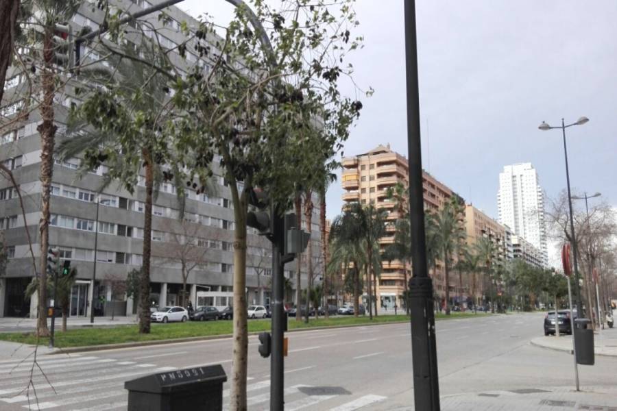 Valencia,Valencia,España,Locales,4349