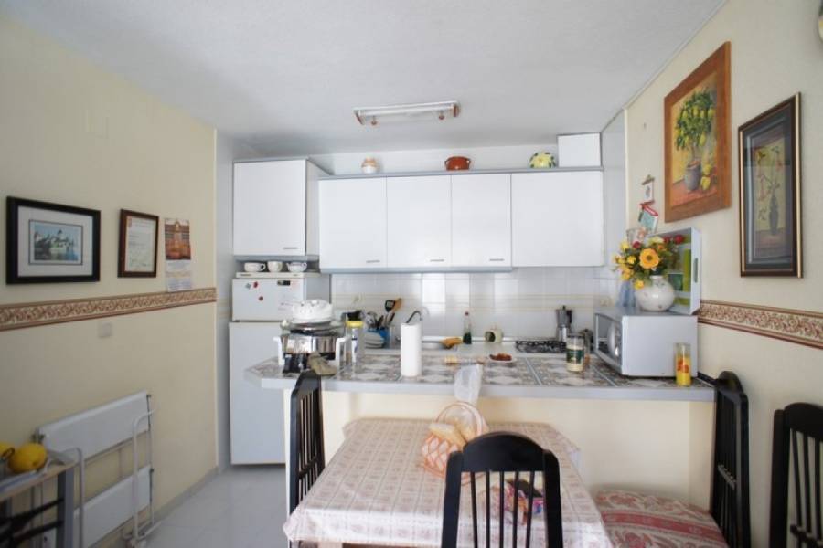 Torrevieja,Alicante,España,2 Bedrooms Bedrooms,1 BañoBathrooms,Adosada,39150