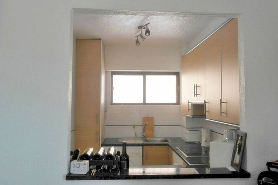 Torrevieja,Alicante,España,2 Bedrooms Bedrooms,1 BañoBathrooms,Apartamentos,39197