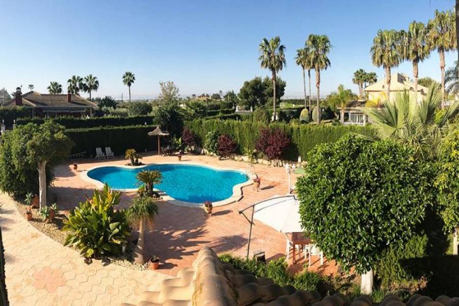 Elche,Alicante,España,5 Bedrooms Bedrooms,3 BathroomsBathrooms,Chalets,39389