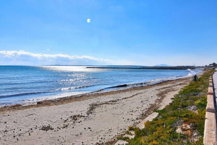 Santa Pola,Alicante,España,3 Bedrooms Bedrooms,1 BañoBathrooms,Chalets,39390