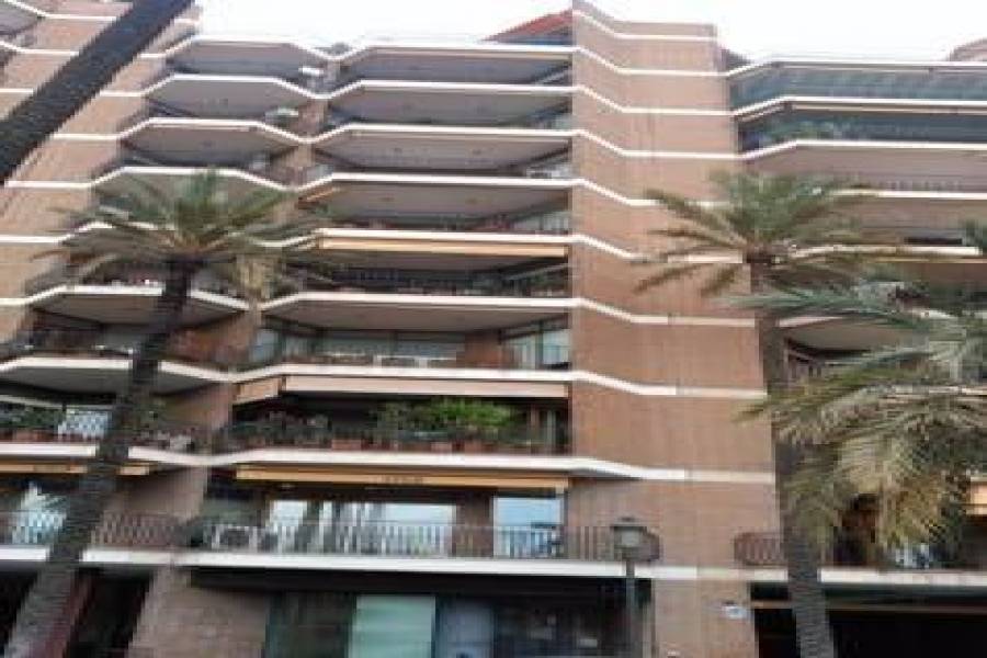 Valencia,Valencia,España,Locales,4391