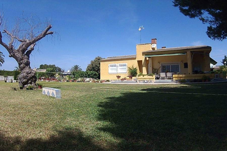 Elche,Alicante,España,5 Bedrooms Bedrooms,1 BañoBathrooms,Chalets,39505