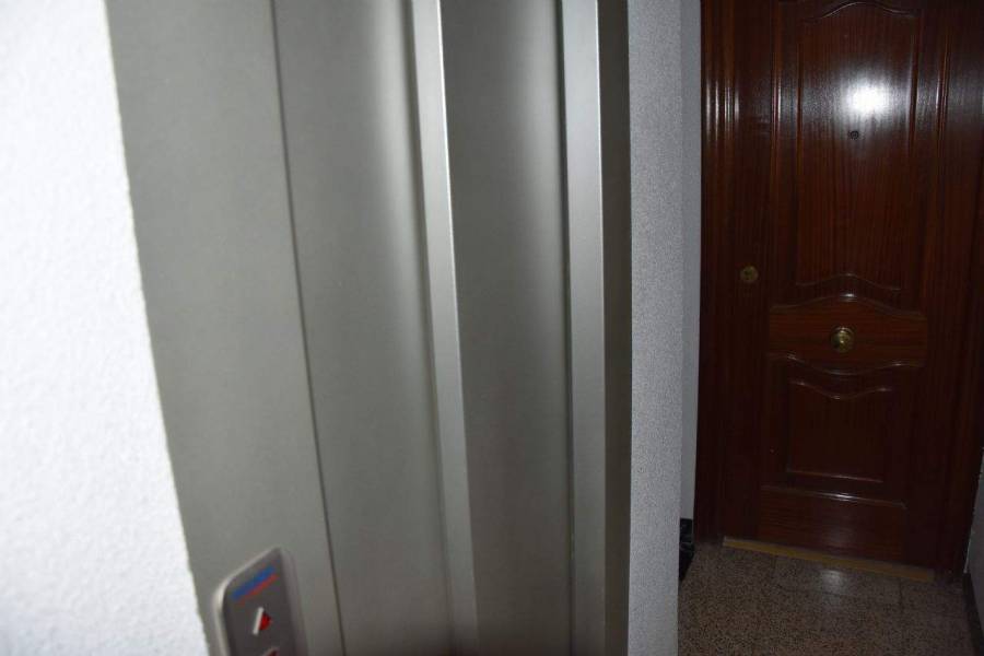Elche,Alicante,España,3 Bedrooms Bedrooms,1 BañoBathrooms,Apartamentos,39551
