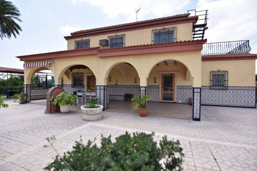 Elche,Alicante,España,4 Bedrooms Bedrooms,2 BathroomsBathrooms,Chalets,39571