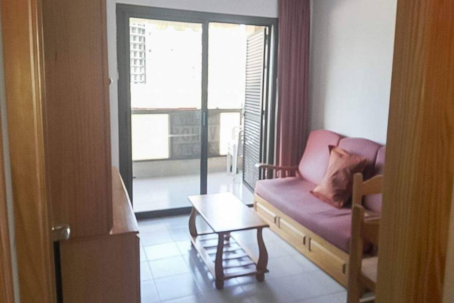Benidorm,Alicante,España,1 Dormitorio Bedrooms,1 BañoBathrooms,Apartamentos,39587